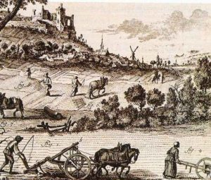 Lee más sobre el artículo Bienes comunales en la comarca de la Sierra (Huelva), siglos XIII-XX. Una revisión bibliográfica