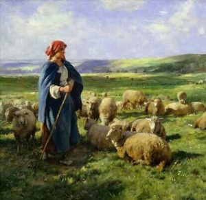 Lee más sobre el artículo En defensa  del pastoreo, los bosques y la libertad. El pastoreo no es especista, el animalismo sí
