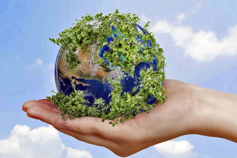 Lee más sobre el artículo La ruralidad y el ecologismo de Estado