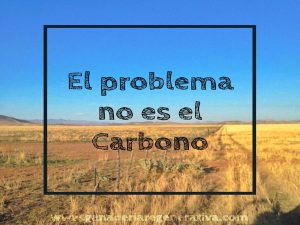 Lee más sobre el artículo El problema no es el carbono
