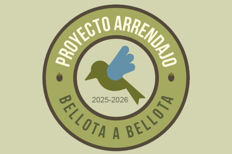 Lee más sobre el artículo PROYECTO ARRENDAJO 2025-2026. Séptima Temporada de forestación con bellota