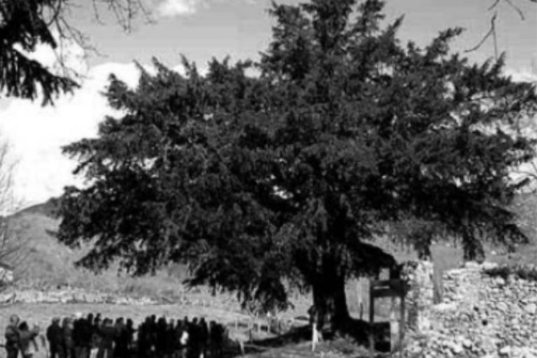 Lee más sobre el artículo La desamortització del comunal peninsular, el robatori més gran de la història