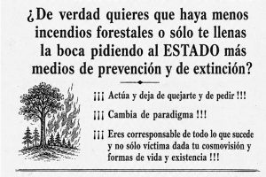 Lee más sobre el artículo Comunicado acerca de los incendios forestales