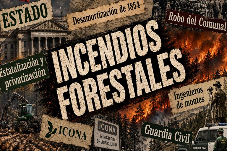 Lee más sobre el artículo Segundo comunicado acerca de los Incendios forestales