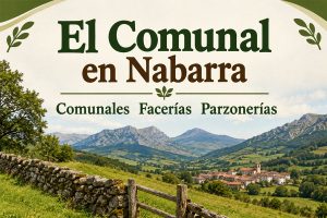 Lee más sobre el artículo El Comunal en Nabarra