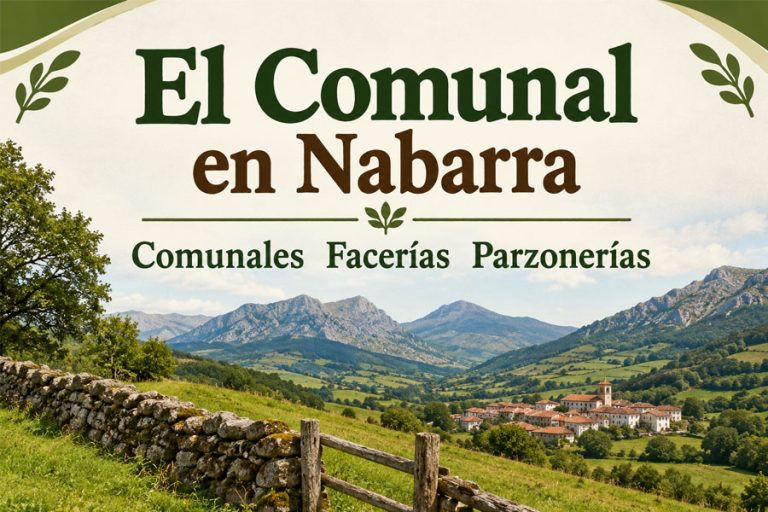 Lee más sobre el artículo El Comunal en Nabarra
