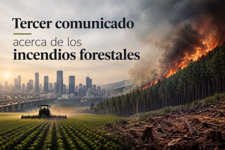 Lee más sobre el artículo Tercer comunicado acerca de los incendios forestales
